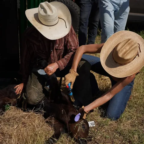 livingwithlandyn Instagram post about Ranching