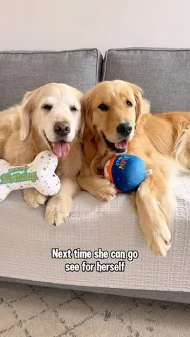 lizzie.bear Instagram post about PetSmart pet event