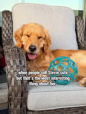 lizzie.bear Instagram post about Golden retriever portrait