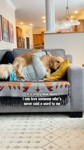 lizzie.bear Instagram post about Human dog bond