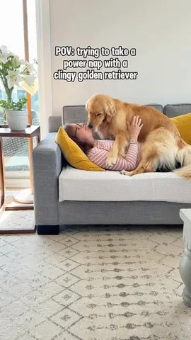 lizzie.bear Instagram post about Clingy dog humor