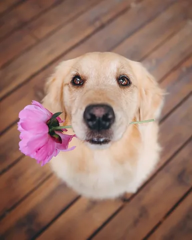 lizzie.bear Instagram post about Spring flowers