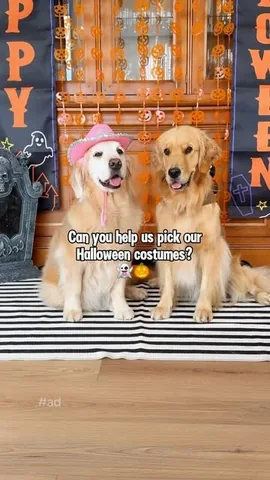 lizzie.bear Instagram post about Pet Halloween costumes