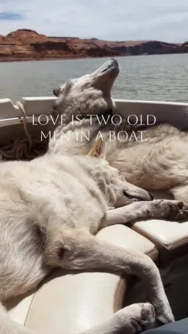 loki Instagram post about Bond between Raven and Loki