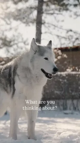 loki Instagram post about Spiritual connectedness