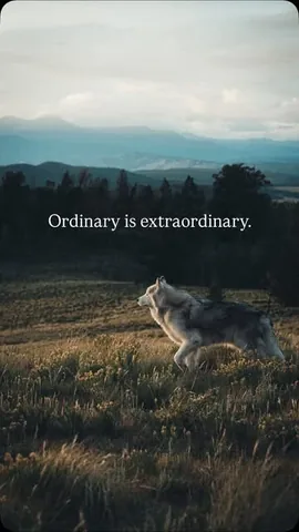 loki Instagram post about Emotional reflection