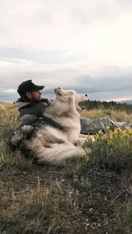 loki Instagram post about Shared journey with a dog