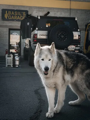 loki Instagram post about Truck giveaway