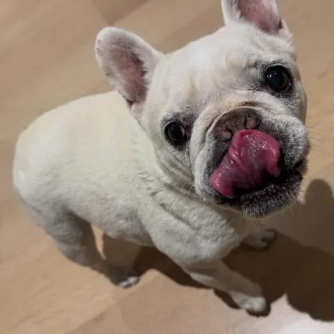 lolabarksdale Instagram post about Food