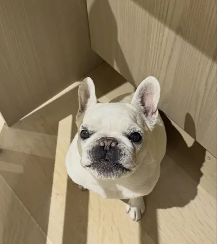 lolabarksdale Instagram post about Snacks