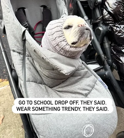 lolabarksdale Instagram post about Parenting