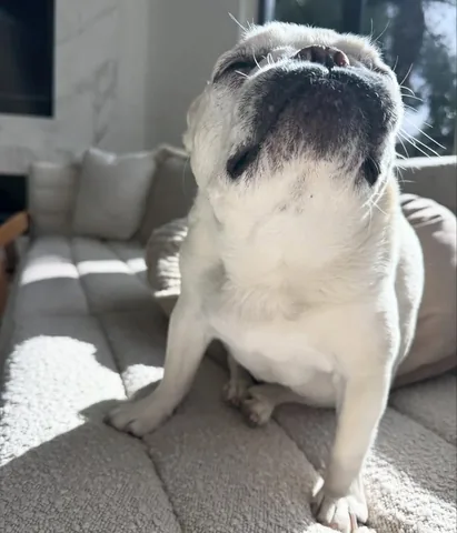 lolabarksdale Instagram post about Thanksgiving