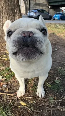 lolabarksdale Instagram post about Outdoor play
