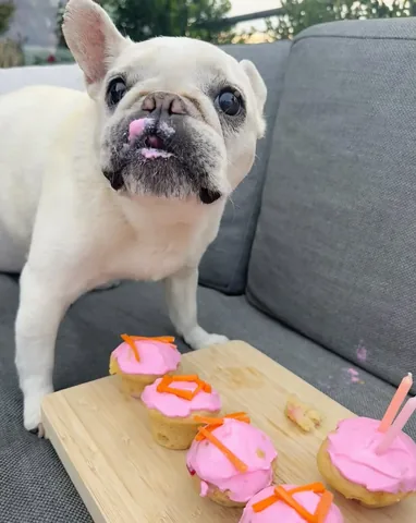 lolabarksdale Instagram post about Milestone celebration
