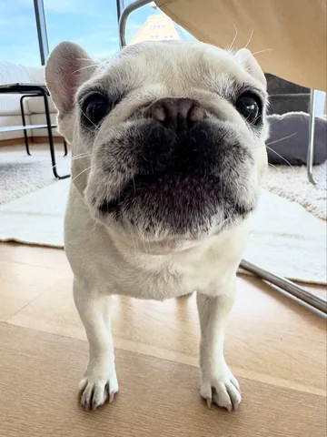 lolabarksdale Instagram post about Food