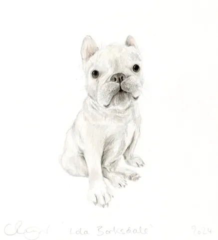 lolabarksdale Instagram post about Dog portrait