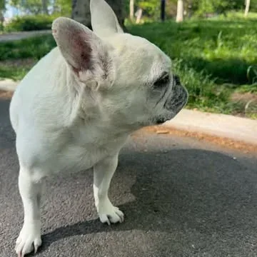 lolabarksdale Instagram post about Protest