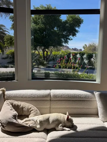 lolabarksdale Instagram post about Food