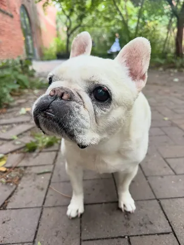 Lola Barksdale Instagram post thumbnail