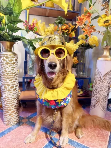 louboutinanyc Instagram post about Peruvian New Year tradition