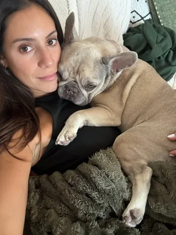 luluthelilacfrenchie Instagram post about Pet companionship