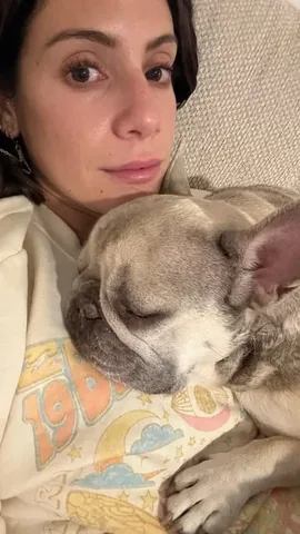 luluthelilacfrenchie Instagram post about Pet companionship