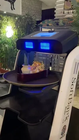 maaheenscorner Instagram post about Robotic dining experience