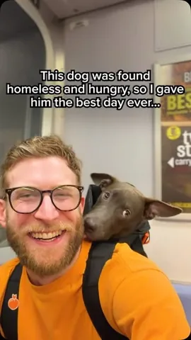 madmax_fluffyroad Instagram post about Adoptable puppy profile
