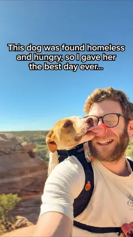 madmax_fluffyroad Instagram post about Adoptable dog profile
