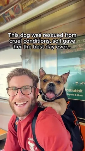 madmax_fluffyroad Instagram post about Adoptable dog profile