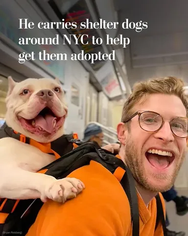 madmax_fluffyroad Instagram post about Shelter dog adoption