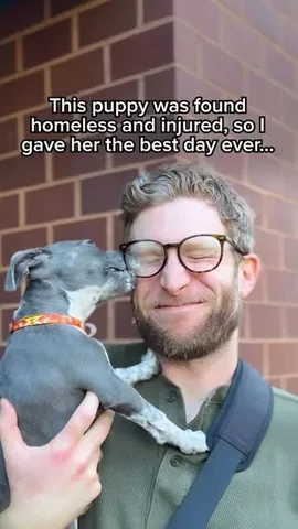madmax_fluffyroad Instagram post about Adoptable dog profile