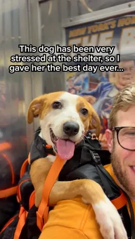 madmax_fluffyroad Instagram post about Adoptable dog profile