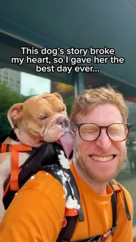 madmax_fluffyroad Instagram post about Adoptable dog profile