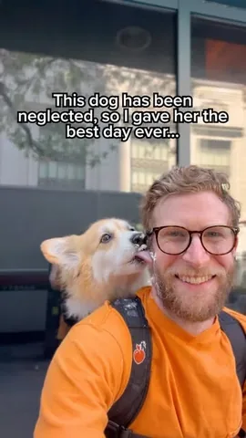 🐶 Maxine the Fluffy Corgi Instagram post thumbnail