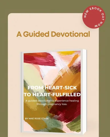 maerosestark_ Instagram post about Devotional book