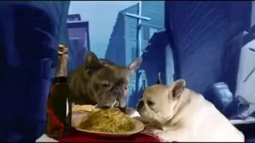 manny_the_frenchie Instagram post about Pet comedy video