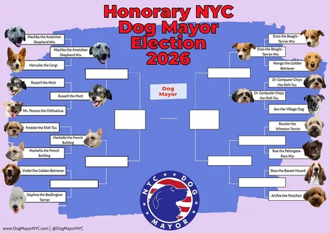 marbellathefrenchie Instagram post about Dog mayoral election update