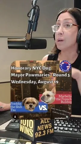 marbellathefrenchie Instagram post about Dog mayoral election voting