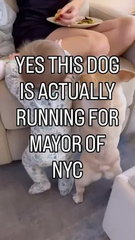 marbellathefrenchie Instagram post about Campaign video