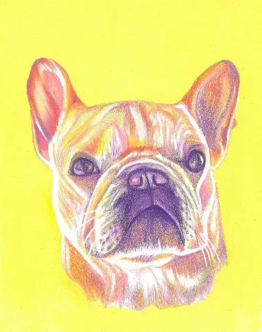 marbellathefrenchie Instagram post about Candidate portrait