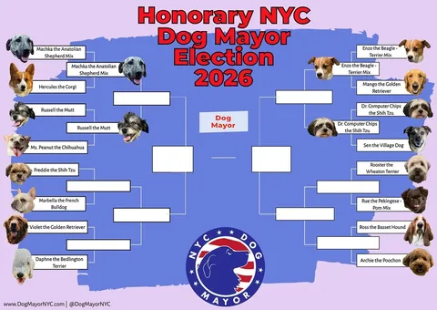 marbellathefrenchie Instagram post about Dog mayoral election update