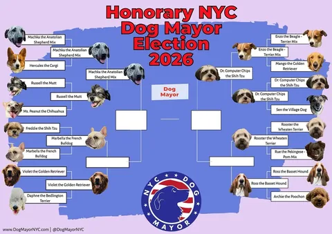 marbellathefrenchie Instagram post about Dog mayoral election update