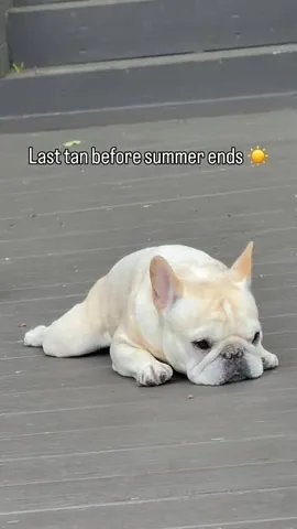 marbellathefrenchie Instagram post about Labor Day weekend