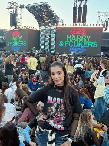 marcelailustra Instagram post about Harry Styles concert experience