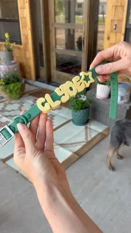 marijka_dam Instagram post about DIY dog collars