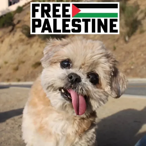marniethedog Instagram post about Supporter appreciation
