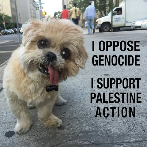 marniethedog Instagram post about Unspecified visual content