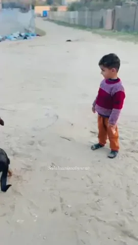 marniethedog Instagram post about Child and animal bond