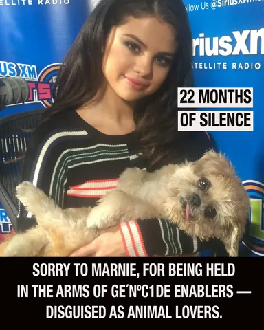 marniethedog Instagram post about Public figure outreach